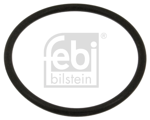 Gasket, coolant flange